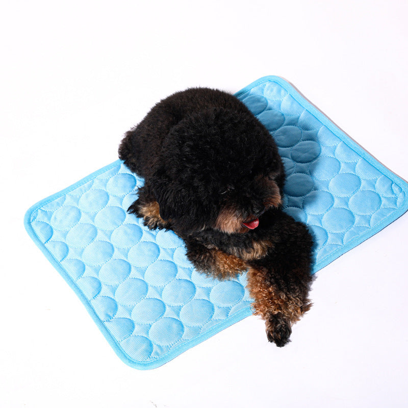 Pet Cooling Mat – Summer Ice Mat for Dogs & Cats